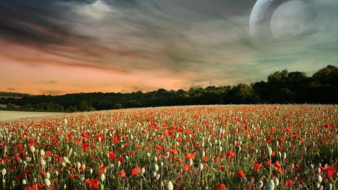 中国与敌国发生战争，哪些国家会帮中国？